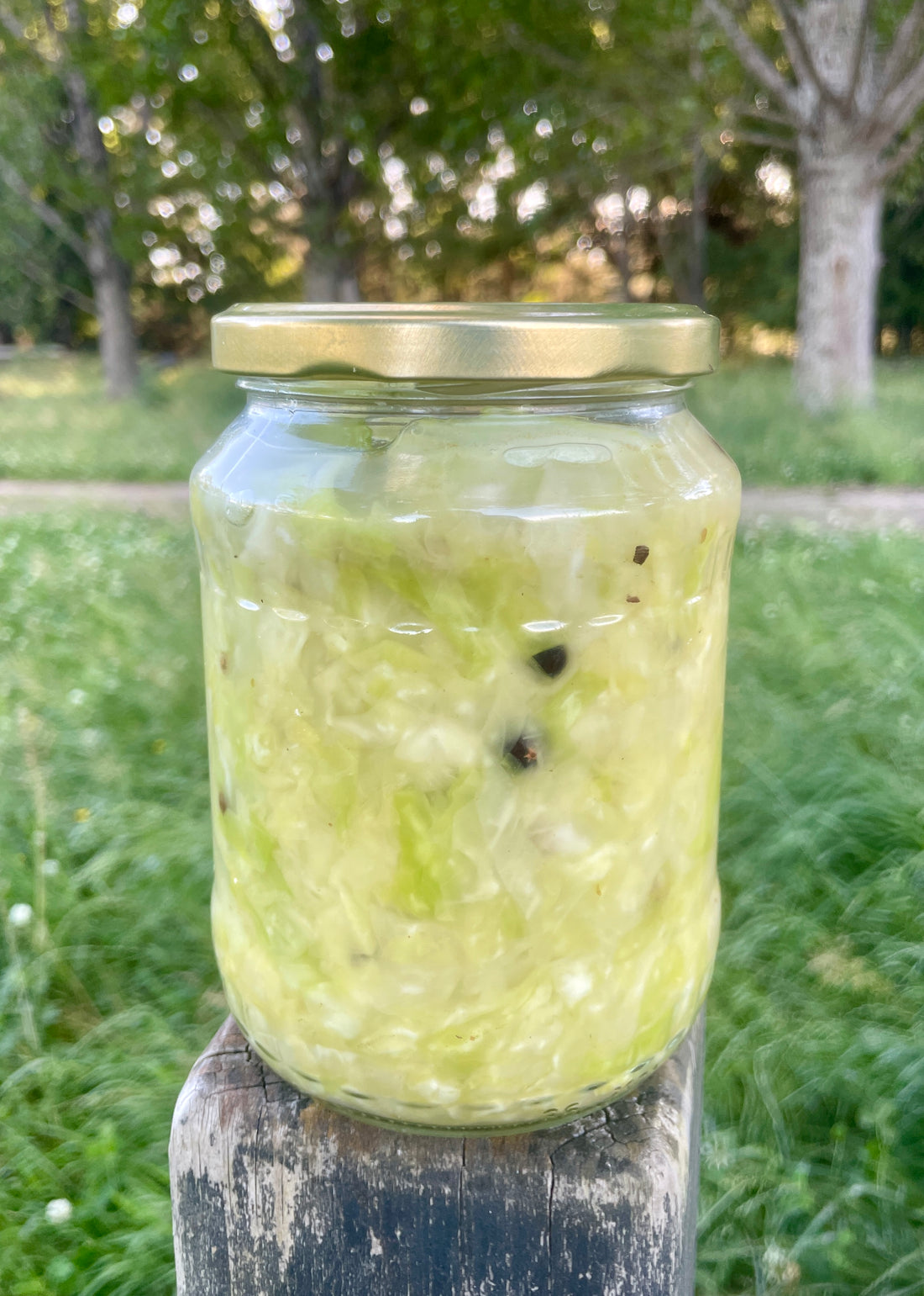 Homemade Sauerkraut