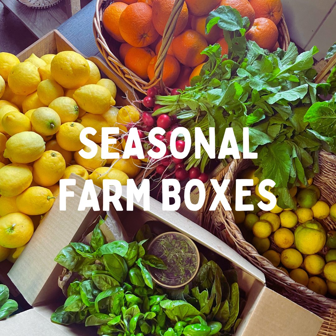Seasonal Farm Boxes