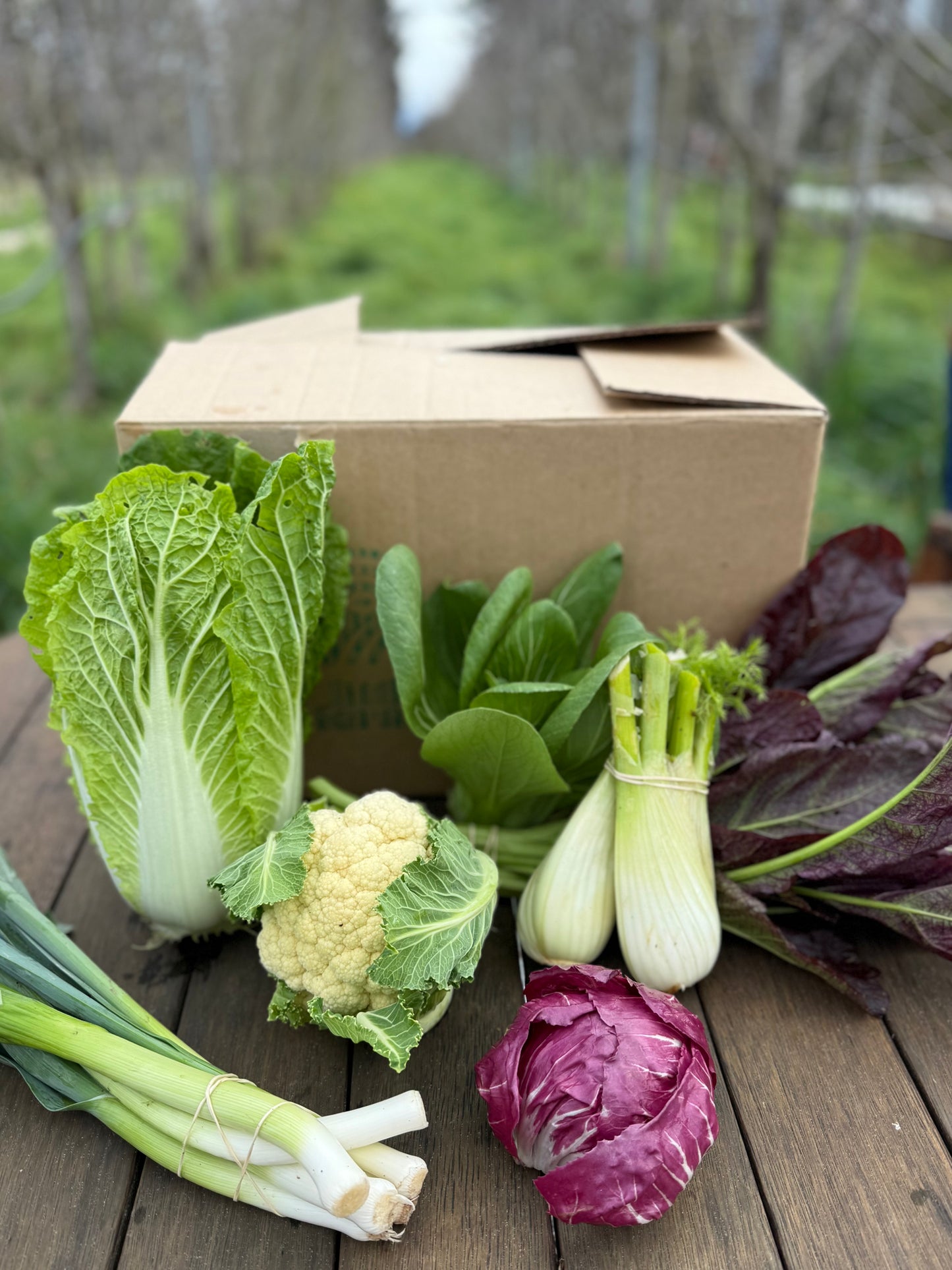 The Keto Box