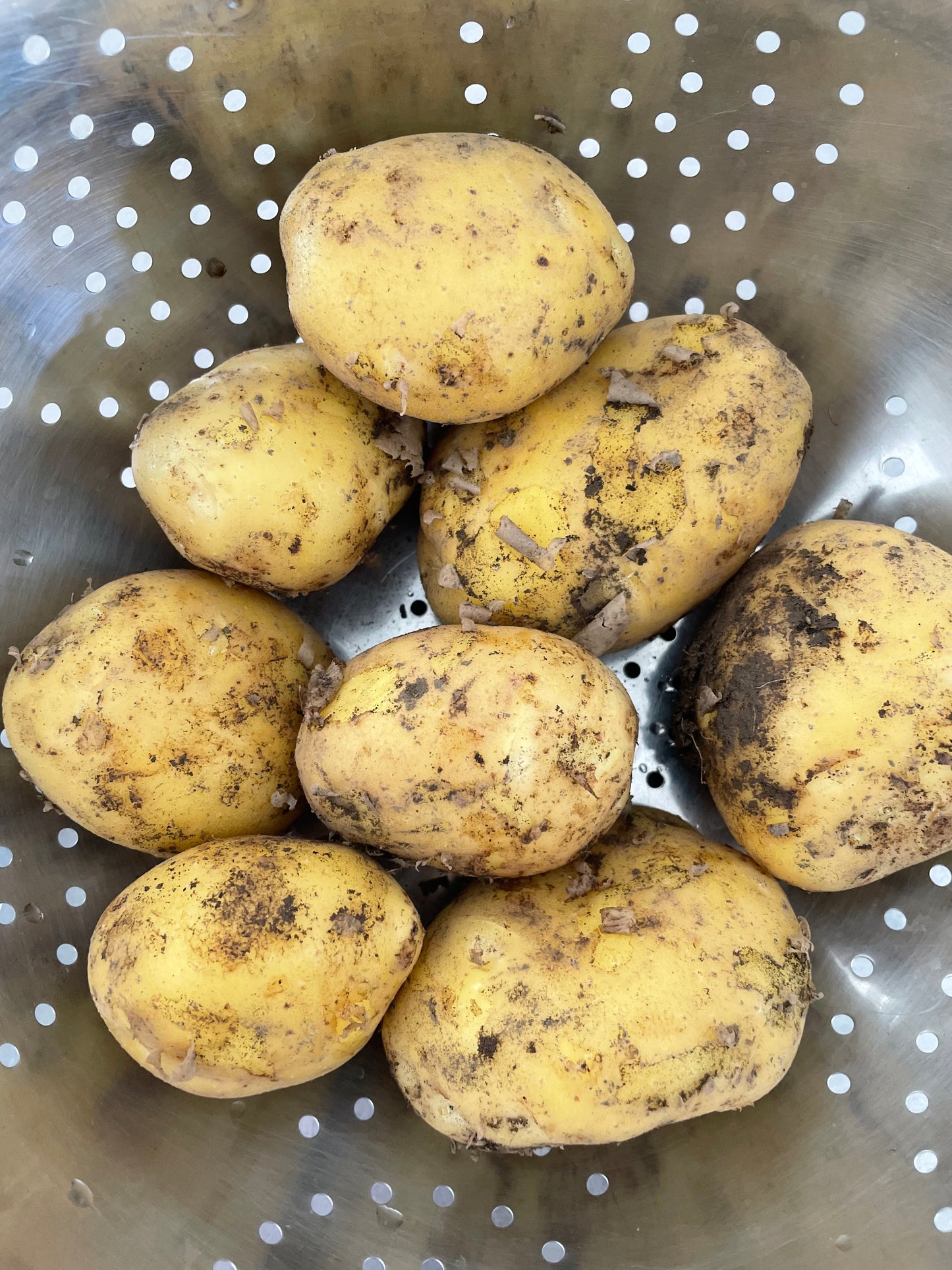Organic Potatoes 1kg (Natascha)