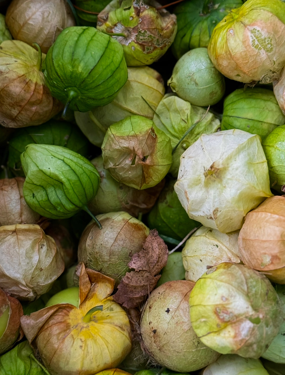 Organic Tomatillos 1kg