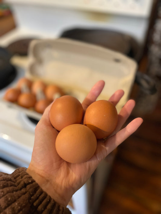 Regenerative Free Range Eggs - Pasture Pride (dozen)