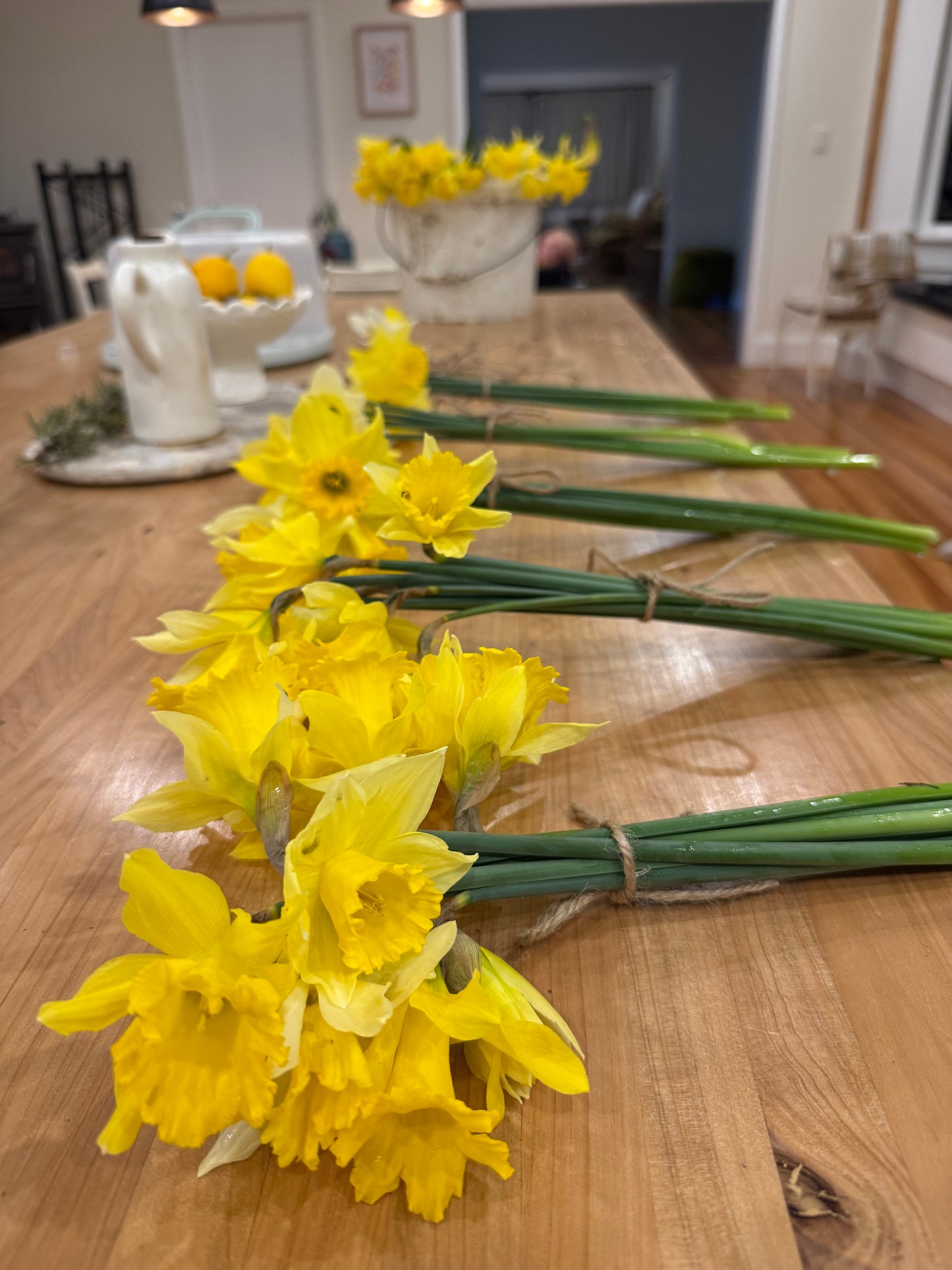 Daffodil bunch (fundraiser)