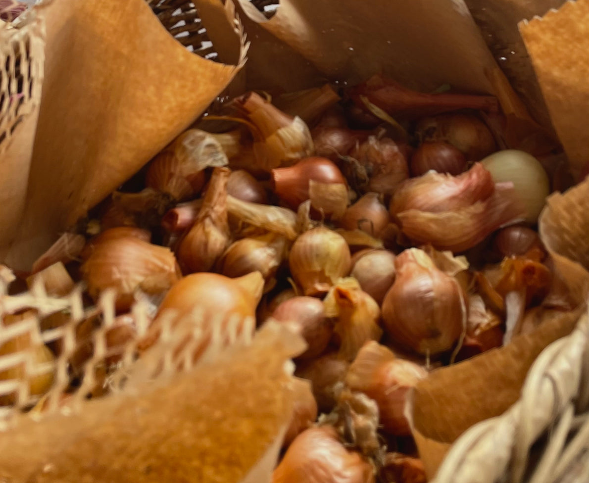 Organic shallots (dried)