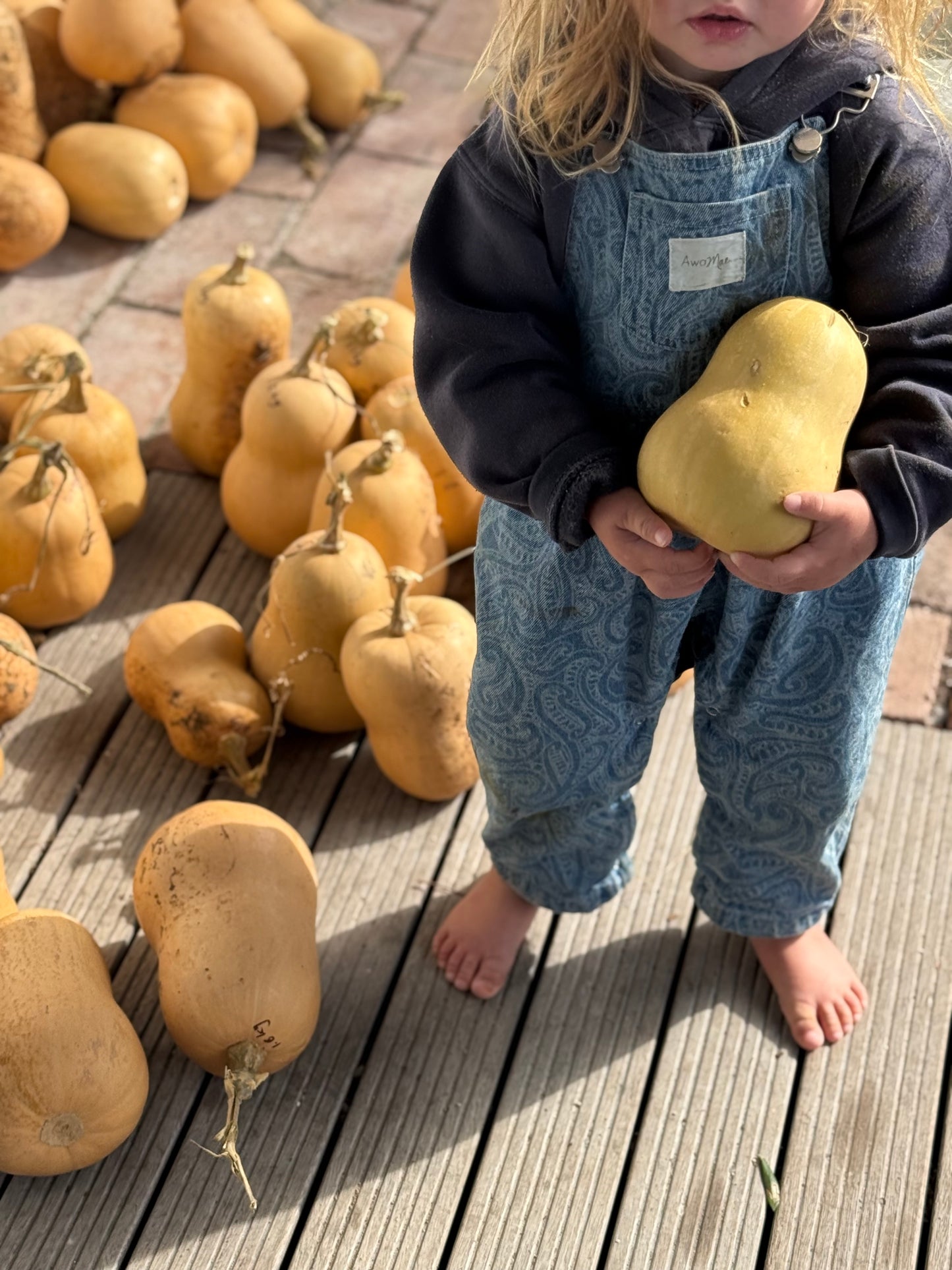 Organic Butternut squash