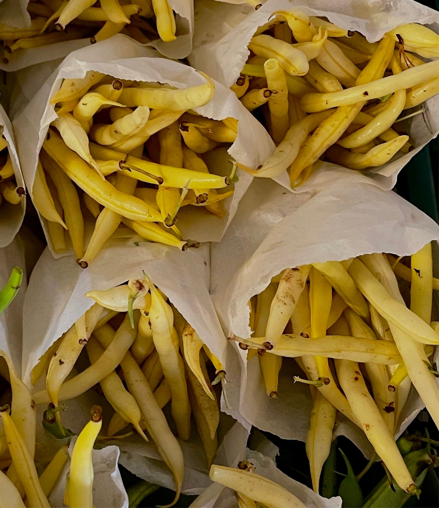 Organic string yellow beans