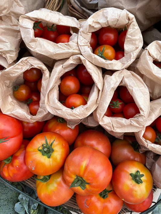 Organic field tomatoes