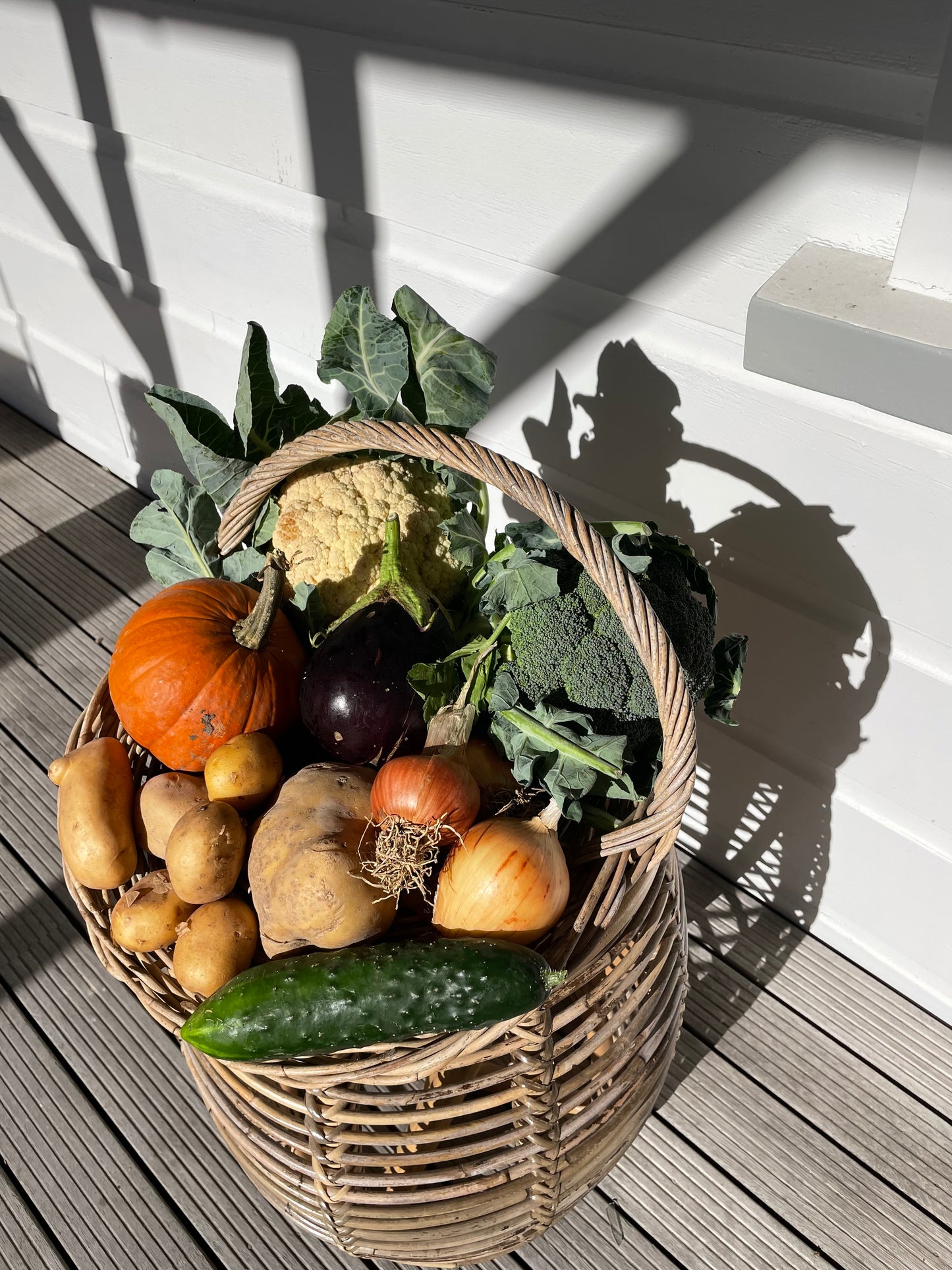 organic vegetables / little farms