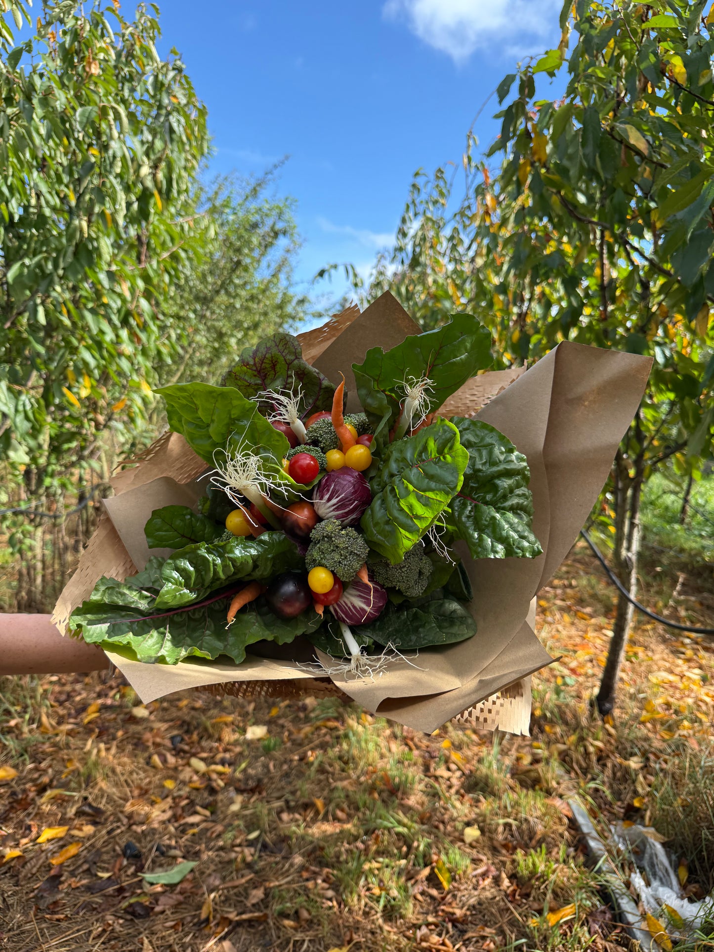 Bouquet of organic vegetables
