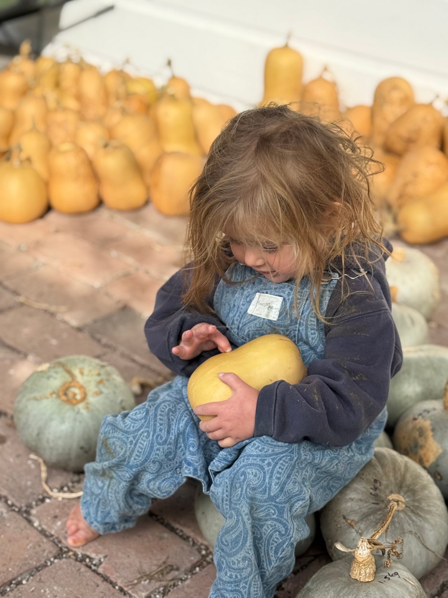 Organic Butternut squash
