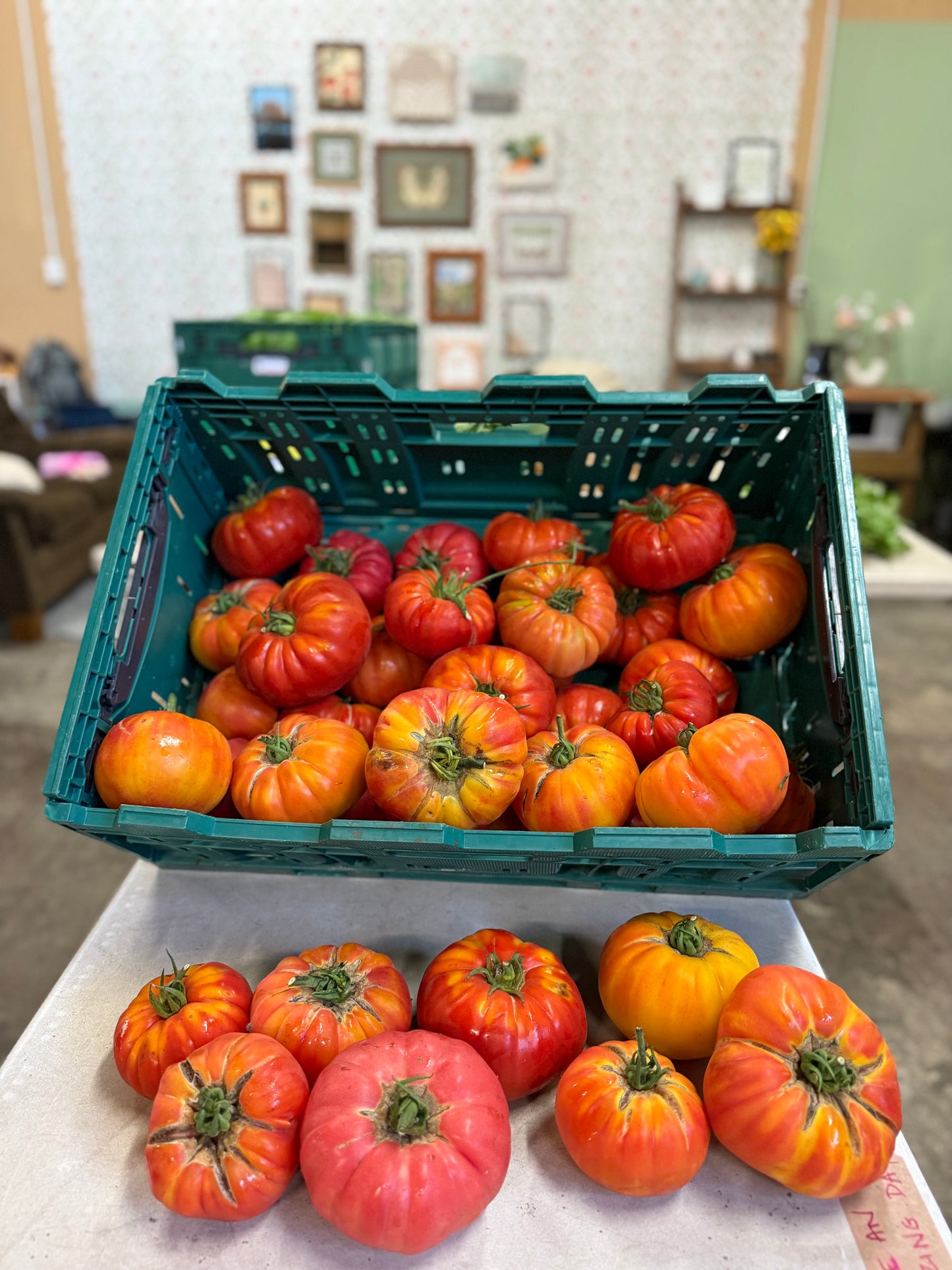 Organic heirloom tomatoes (1kg)