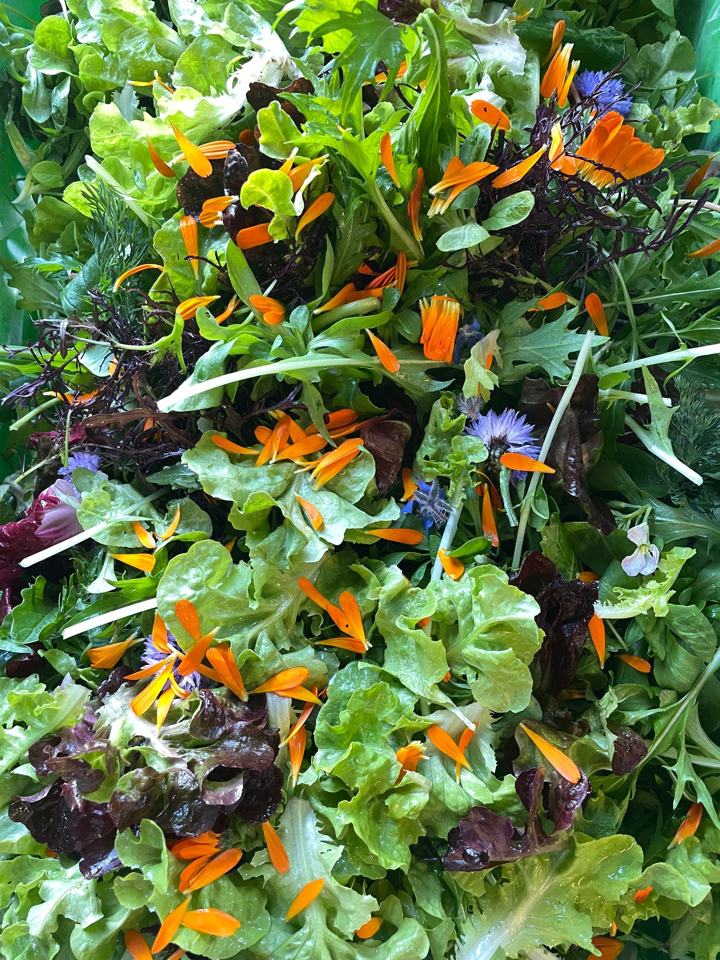 organic vegetables / little farms