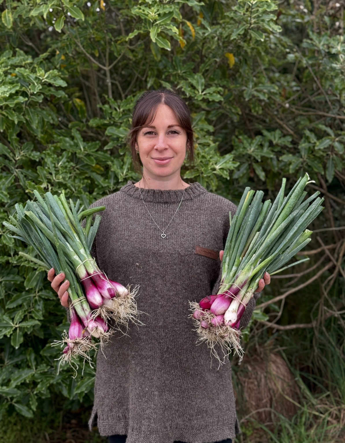 Organic red bulbing onions (500g)