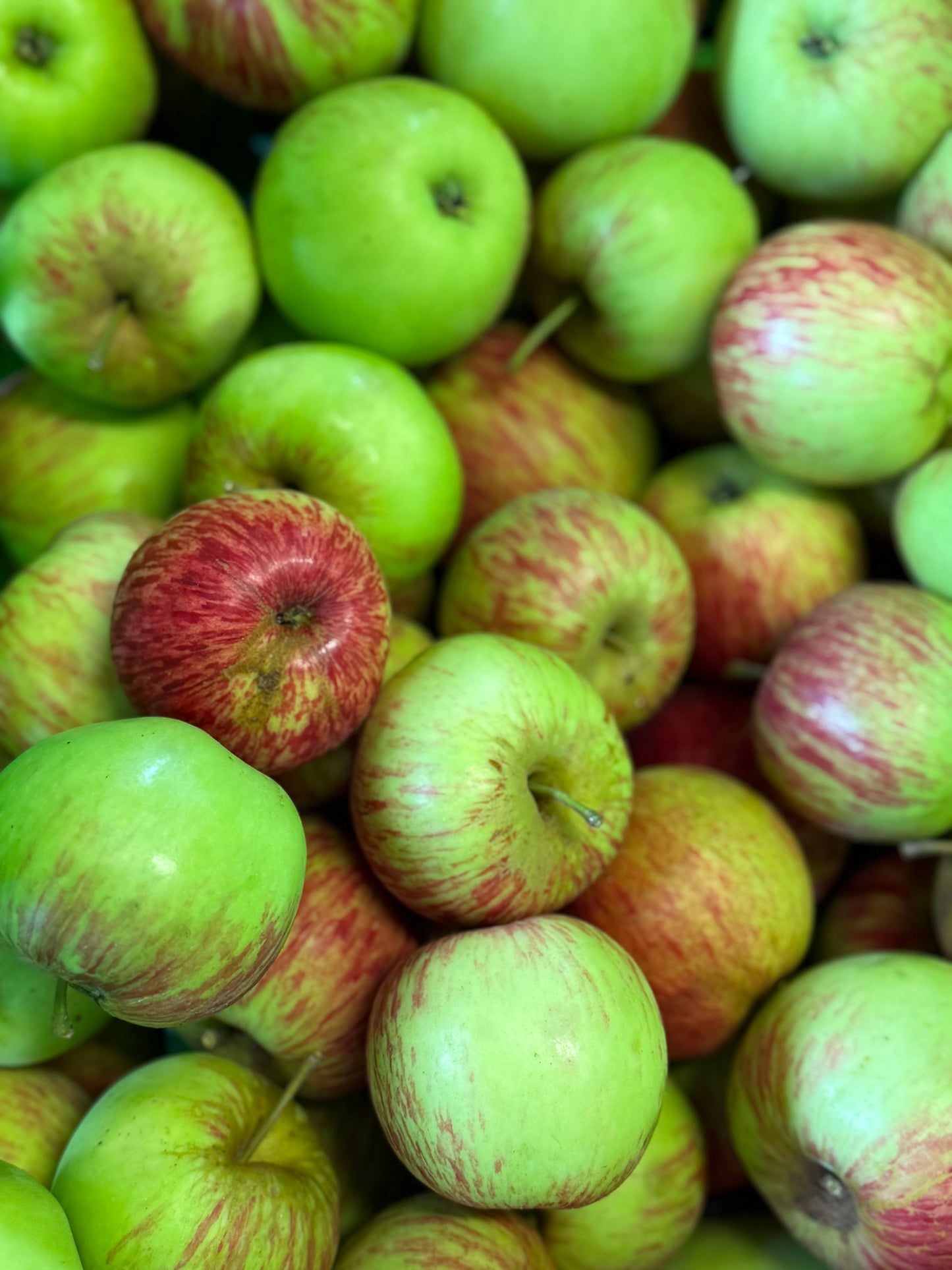 Organic Cox Apples (1kg)