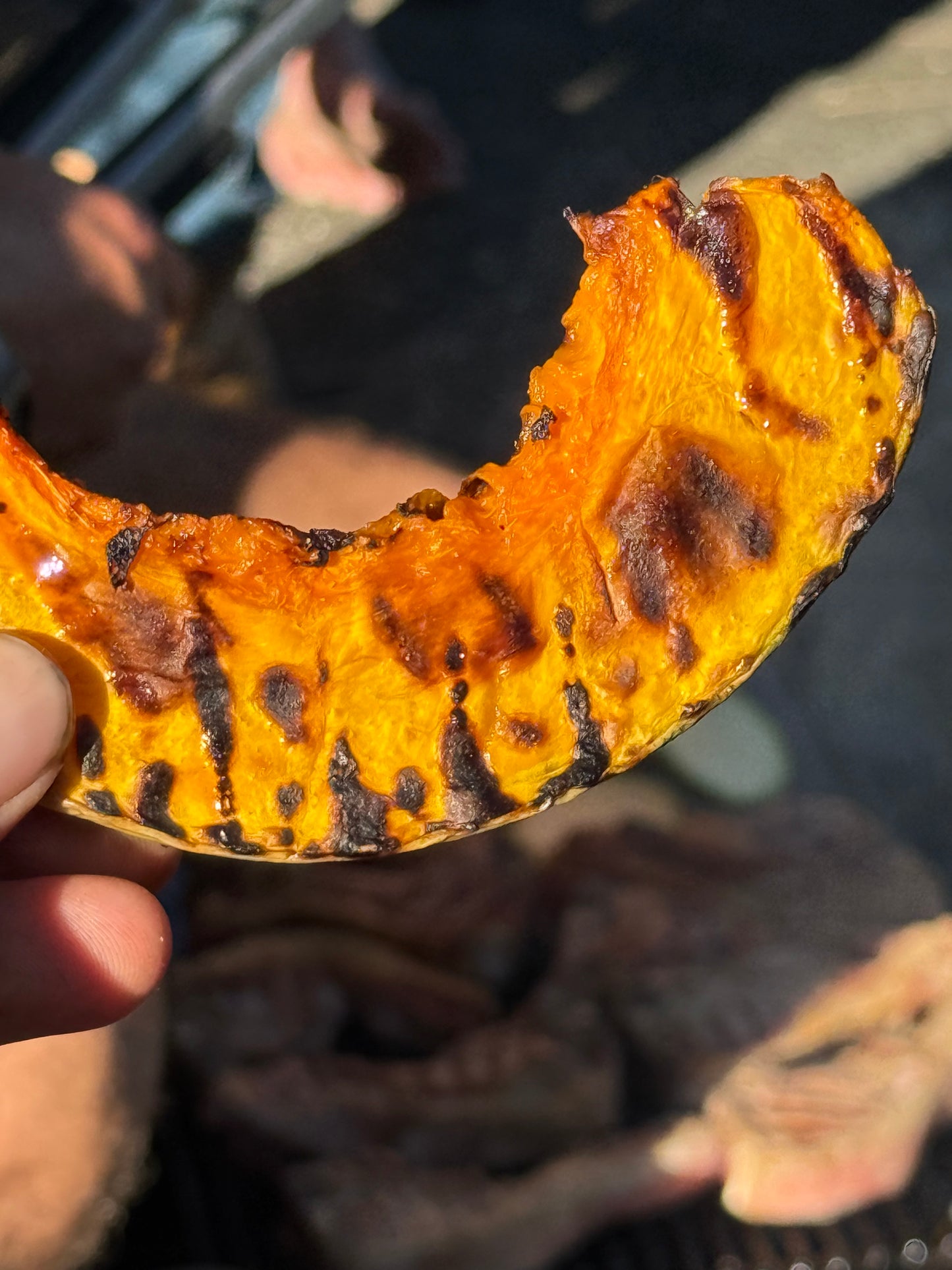 Organic Crown Pumpkin