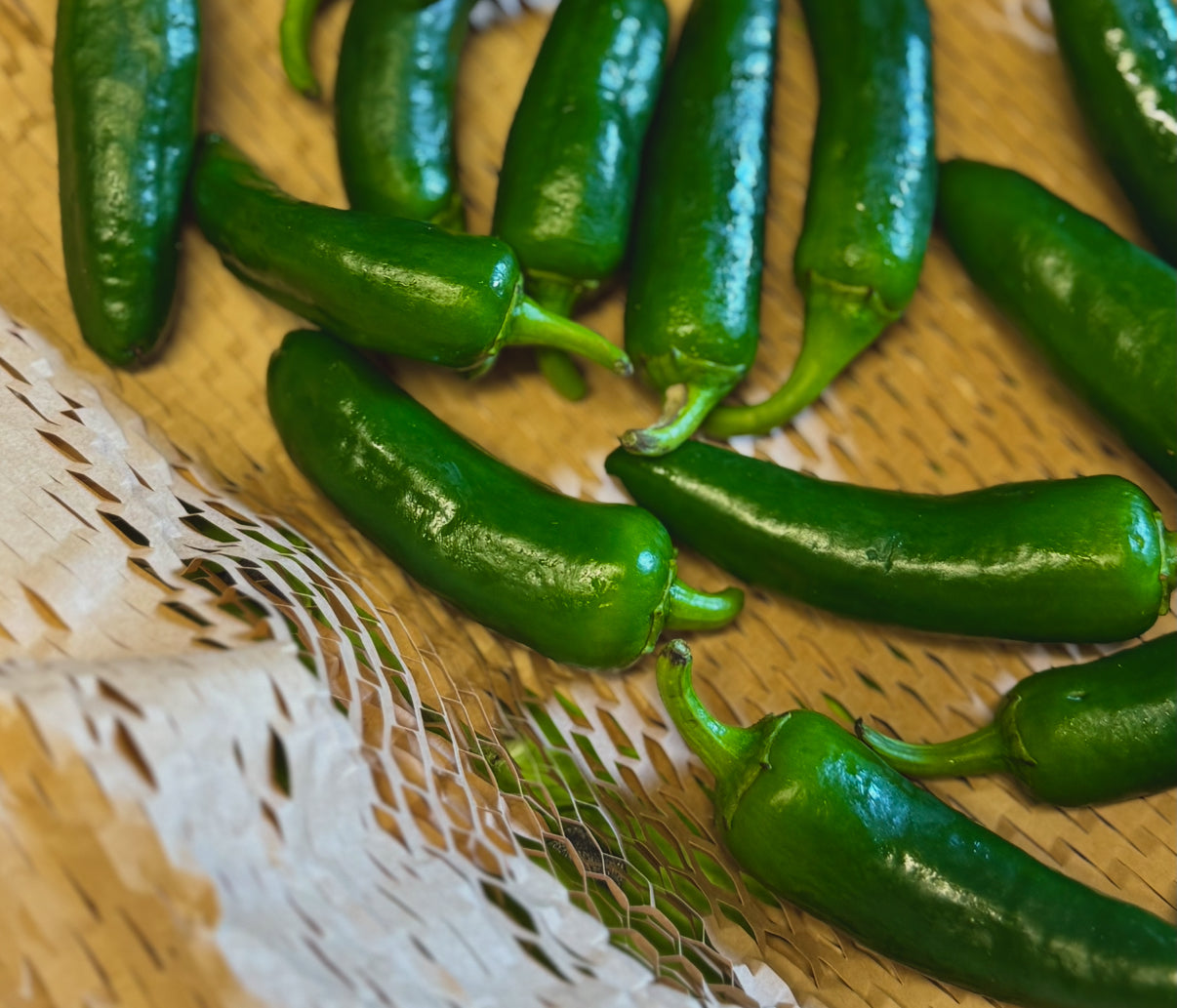 Organic Jalapeños 300g (approx 5)