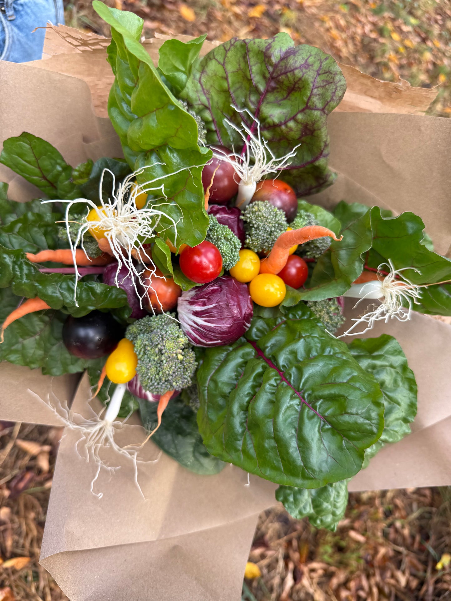 Bouquet of organic vegetables