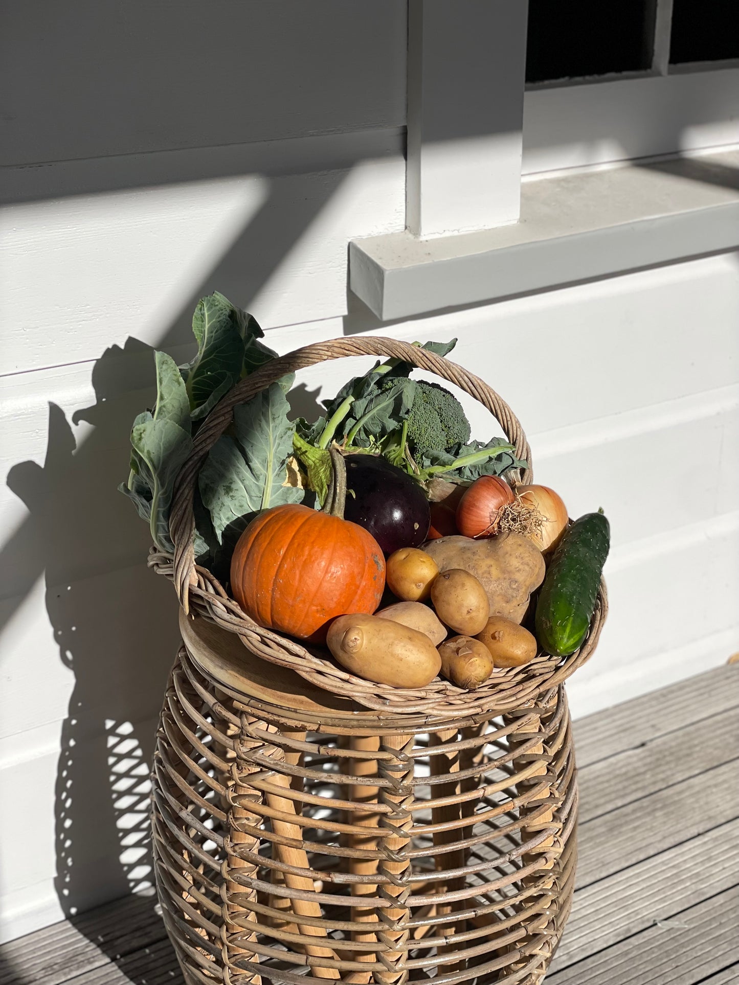 organic vegetables / little farms