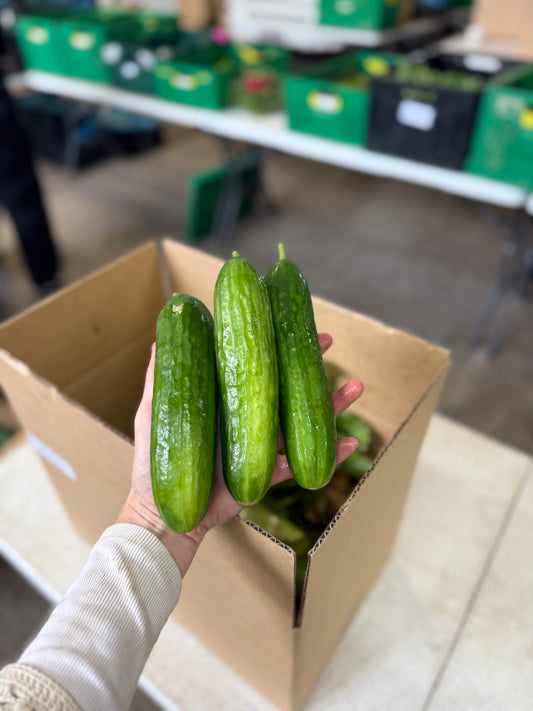 Organic cucumber x 3