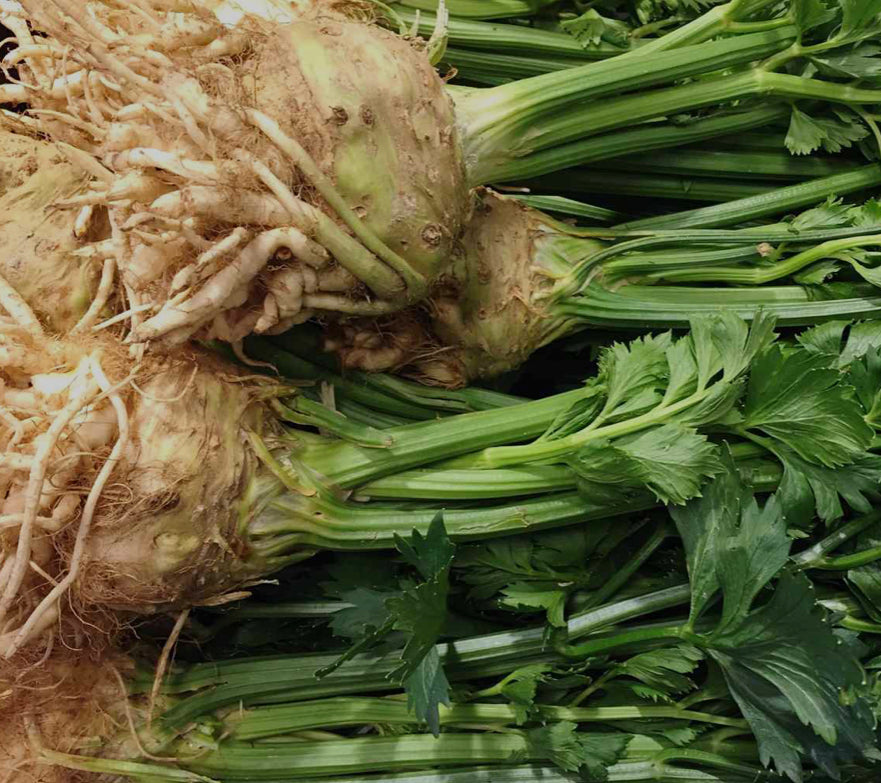 Ugly celeriac