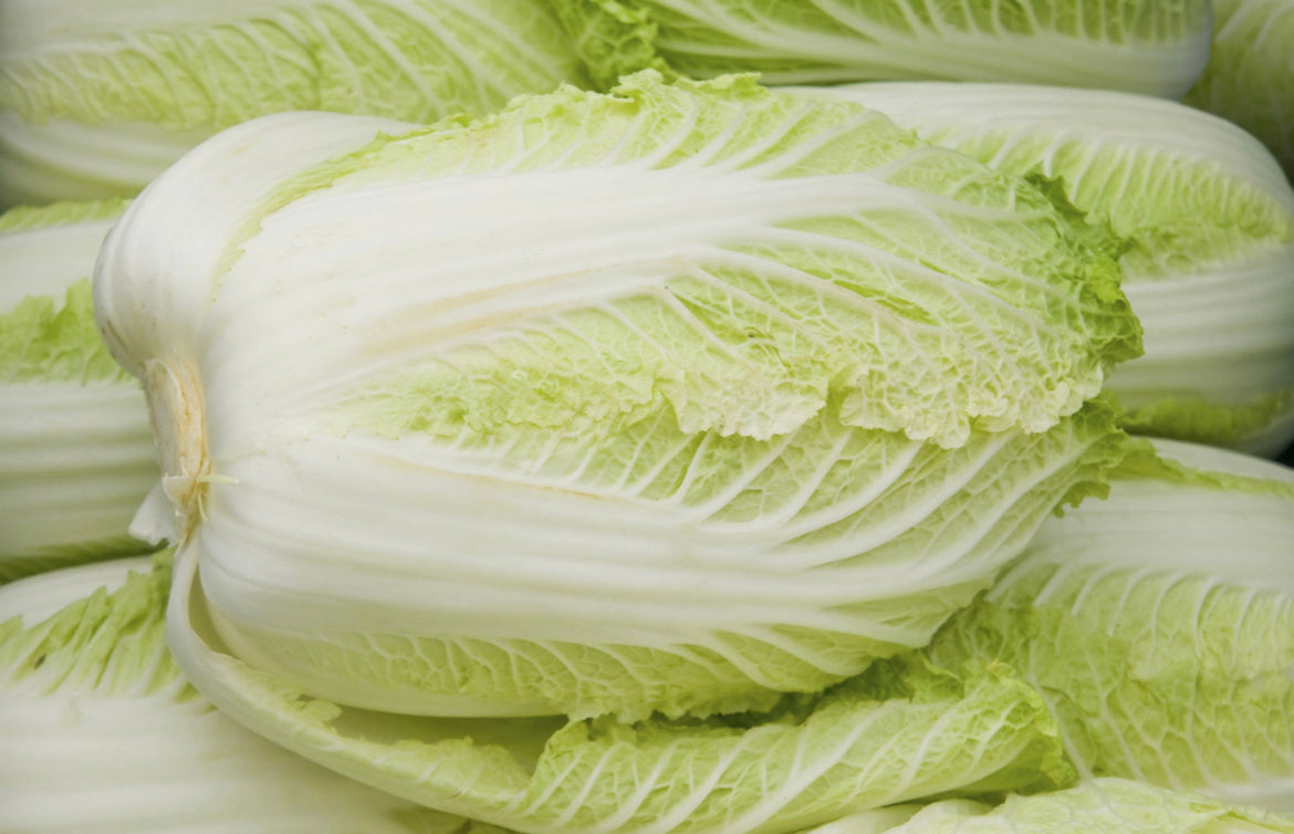 Ugly wom bok cabbage