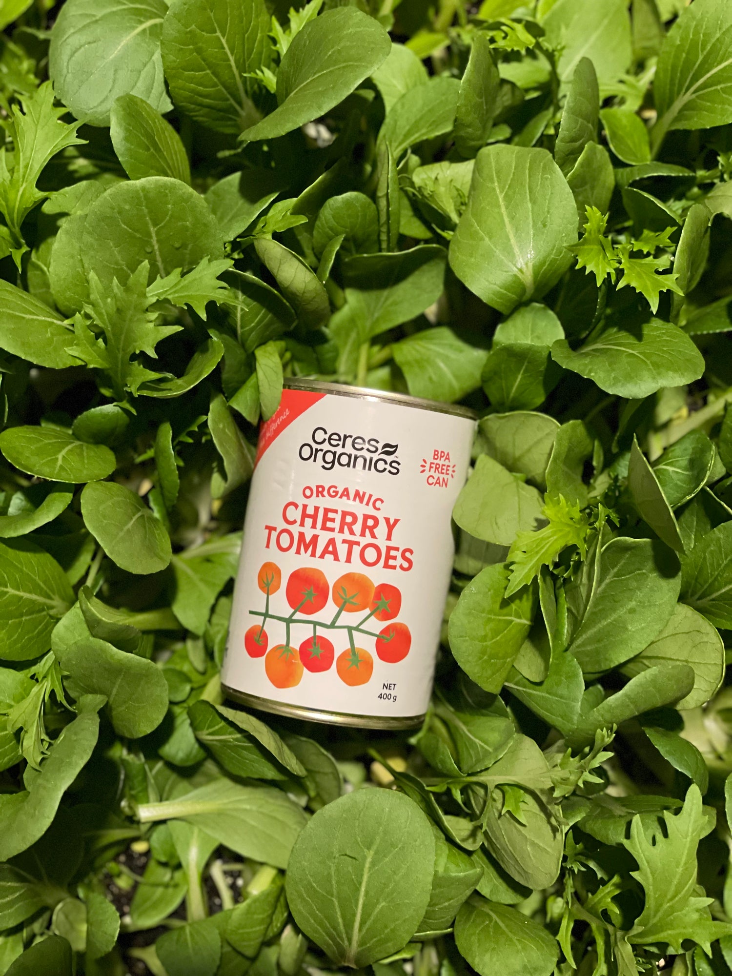 organic vegetables / little farms