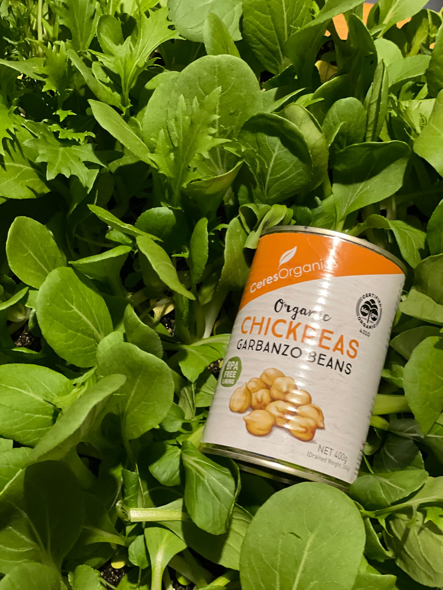 organic vegetables / little farms