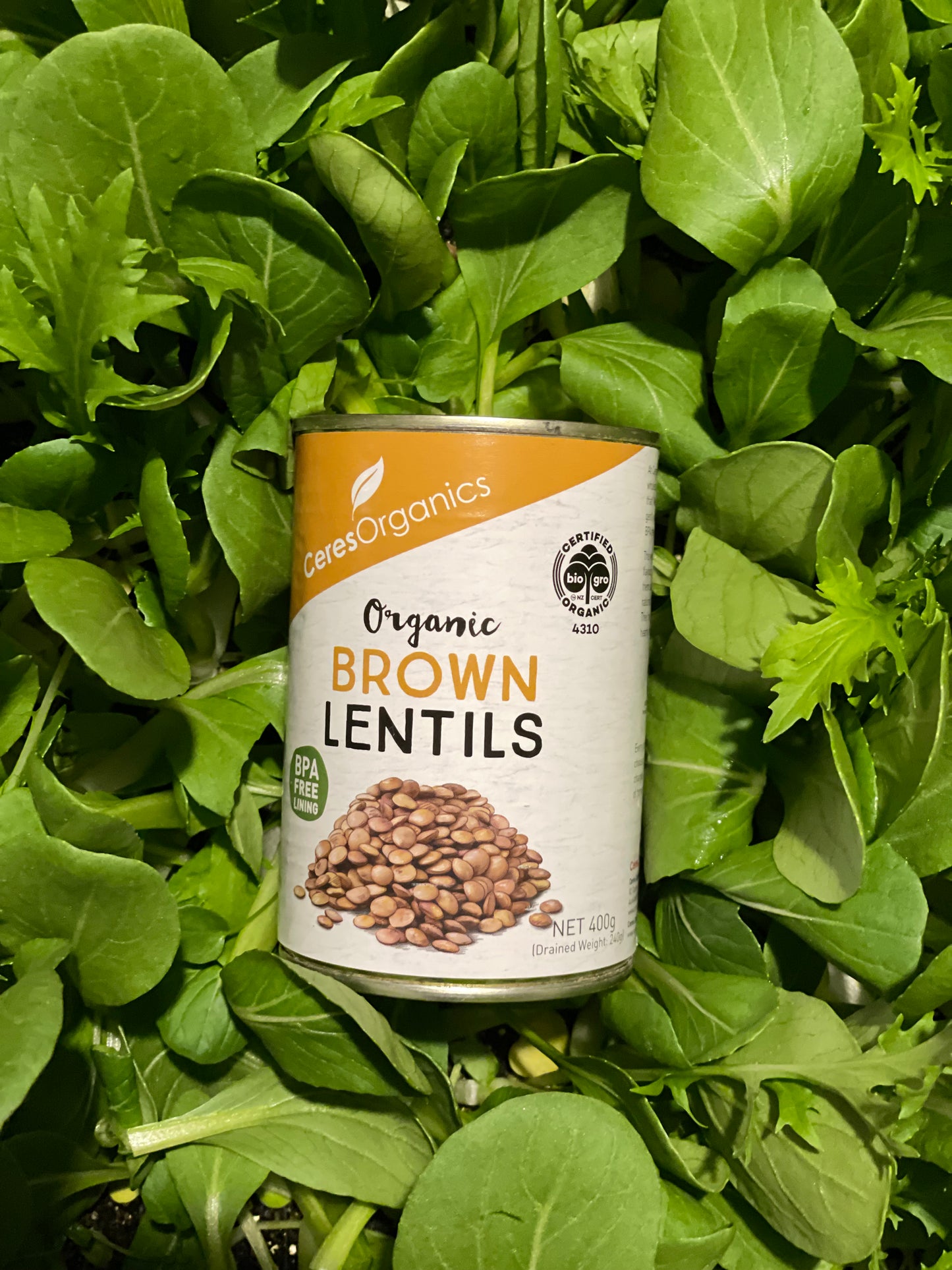 organic vegetables / little farms