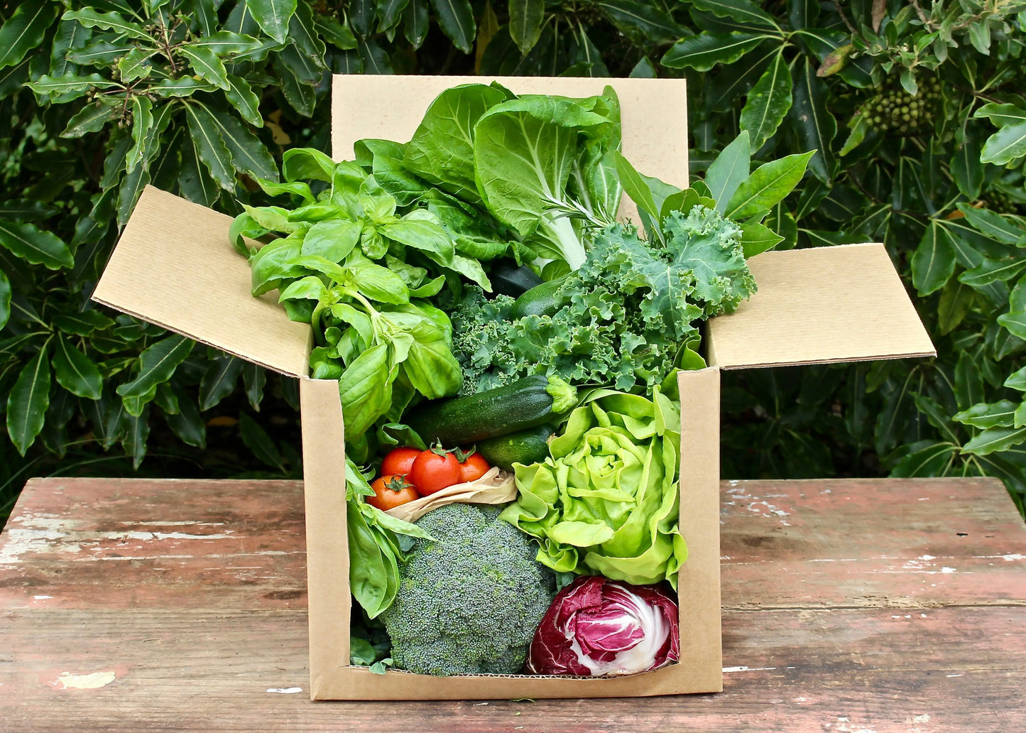 organic vegetables / little farms