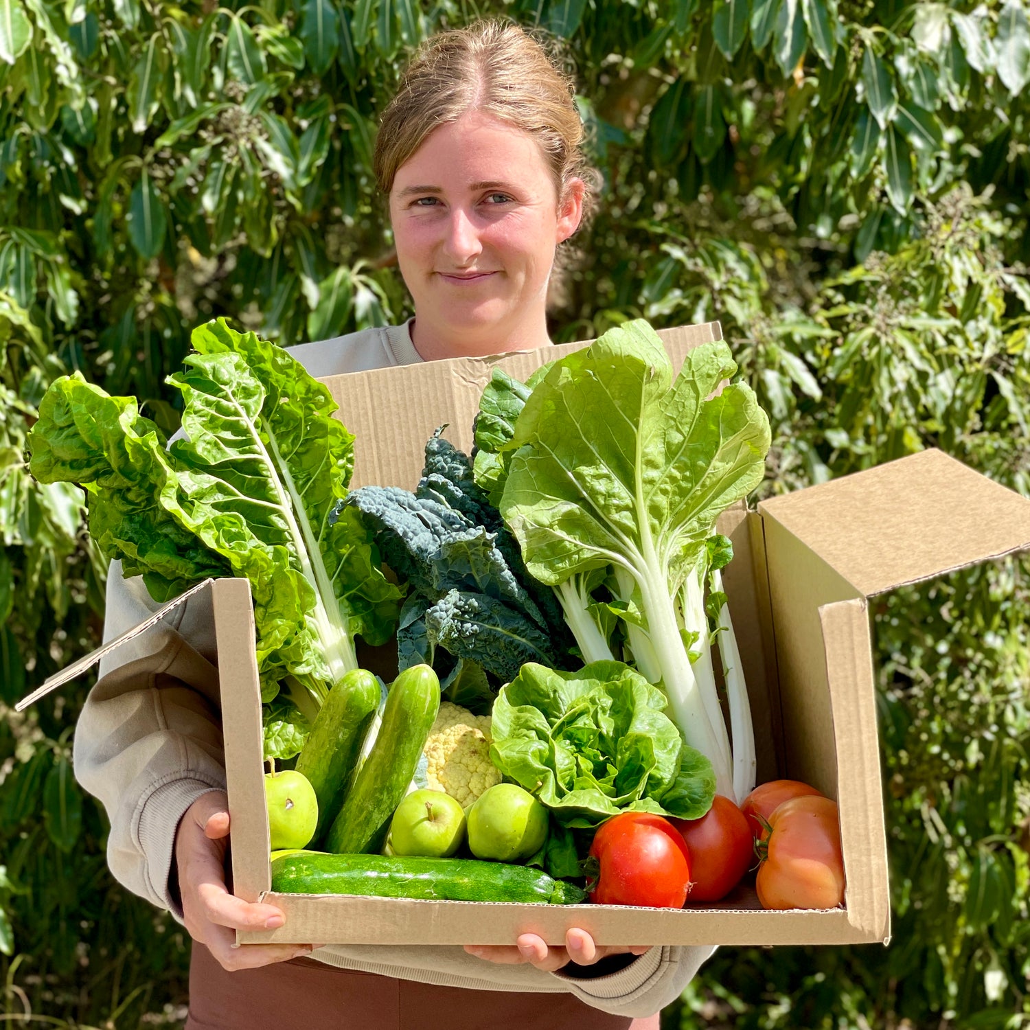 organic vegetables / little farms