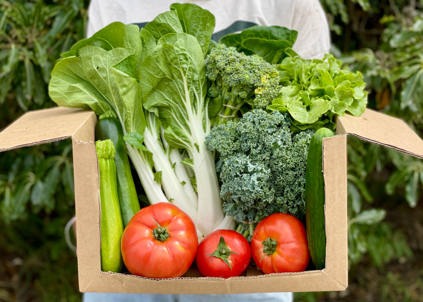 organic vegetables / little farms