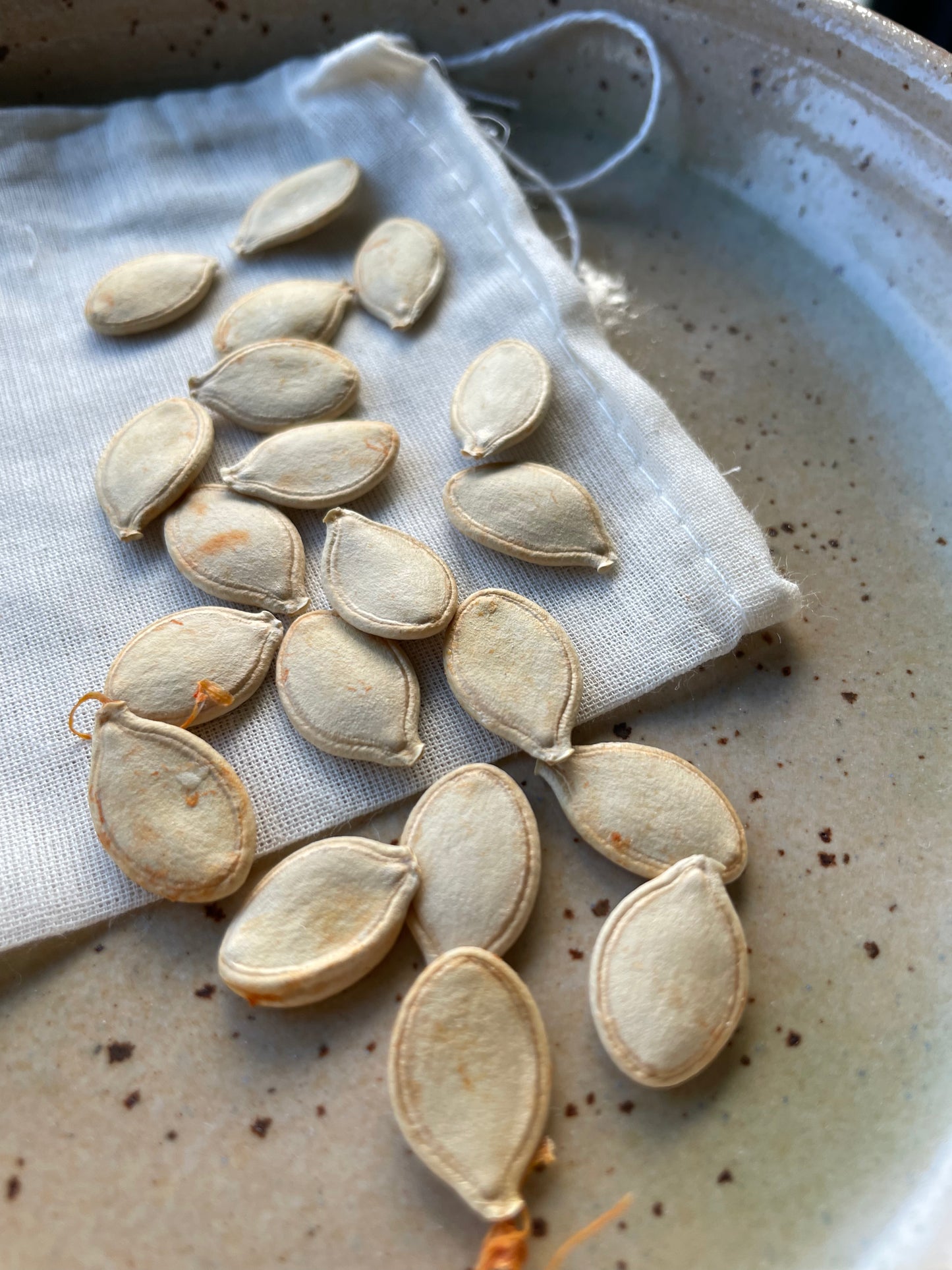 Organic little orange pumpkin seed (for planting)