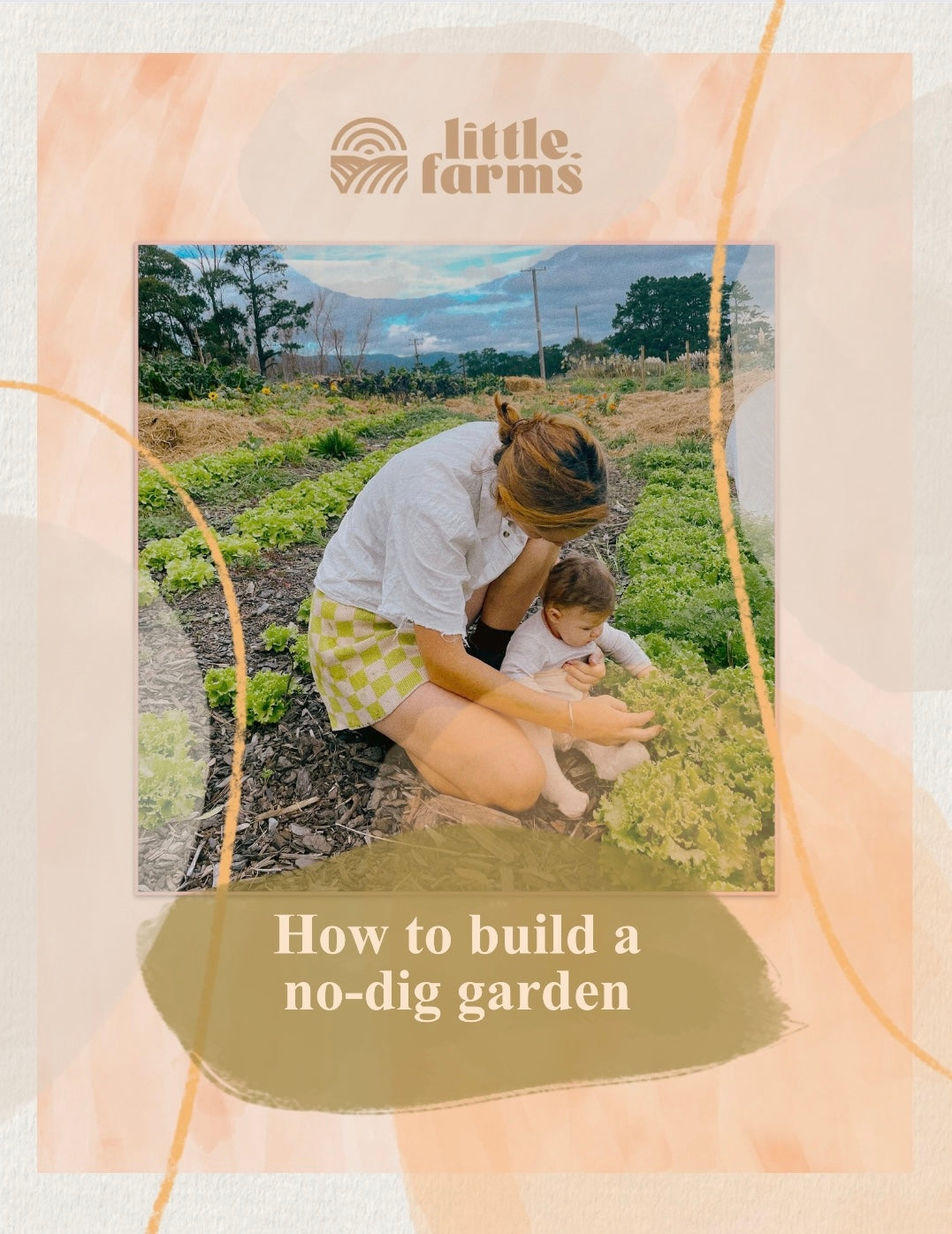 organic vegetables / little farms
