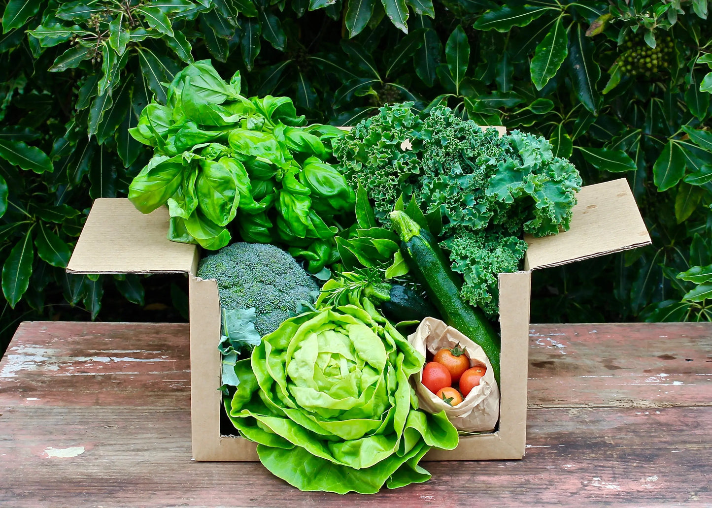 organic vegetables / little farms