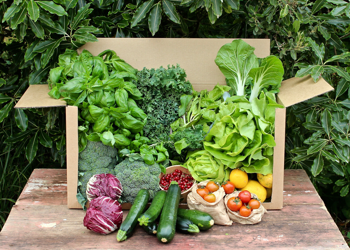 organic vegetables / little farms