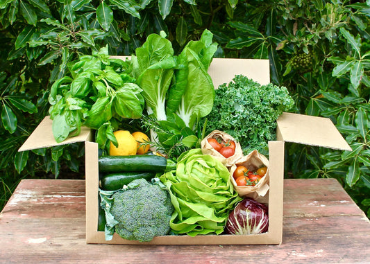 organic vegetables / little farms