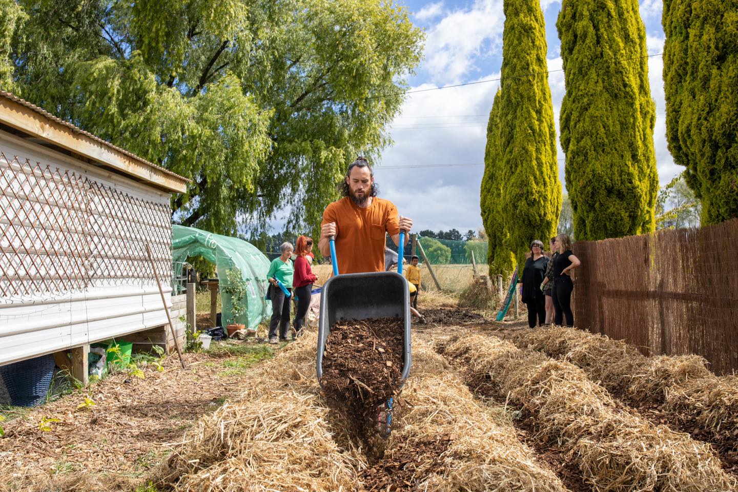 organic vegetables / little farms