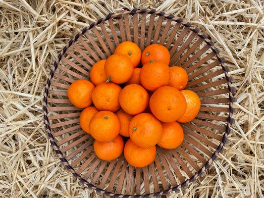 organic vegetables / little farms
