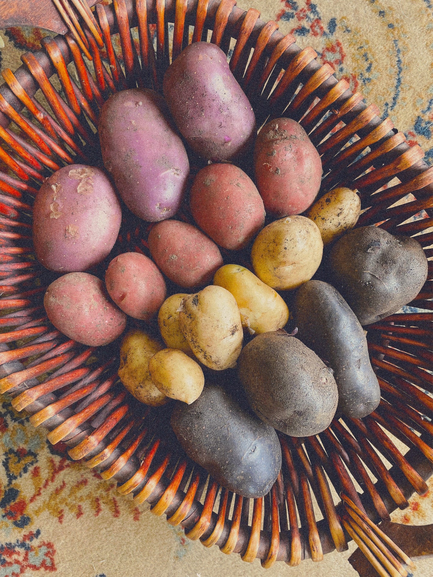 organic vegetables / little farms