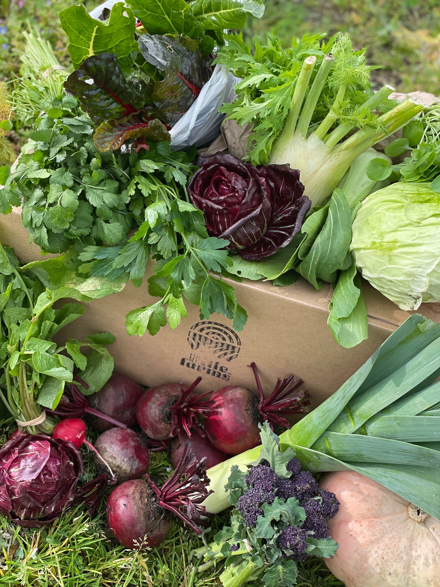 organic vegetables / little farms