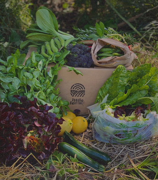 organic vegetables / little farms