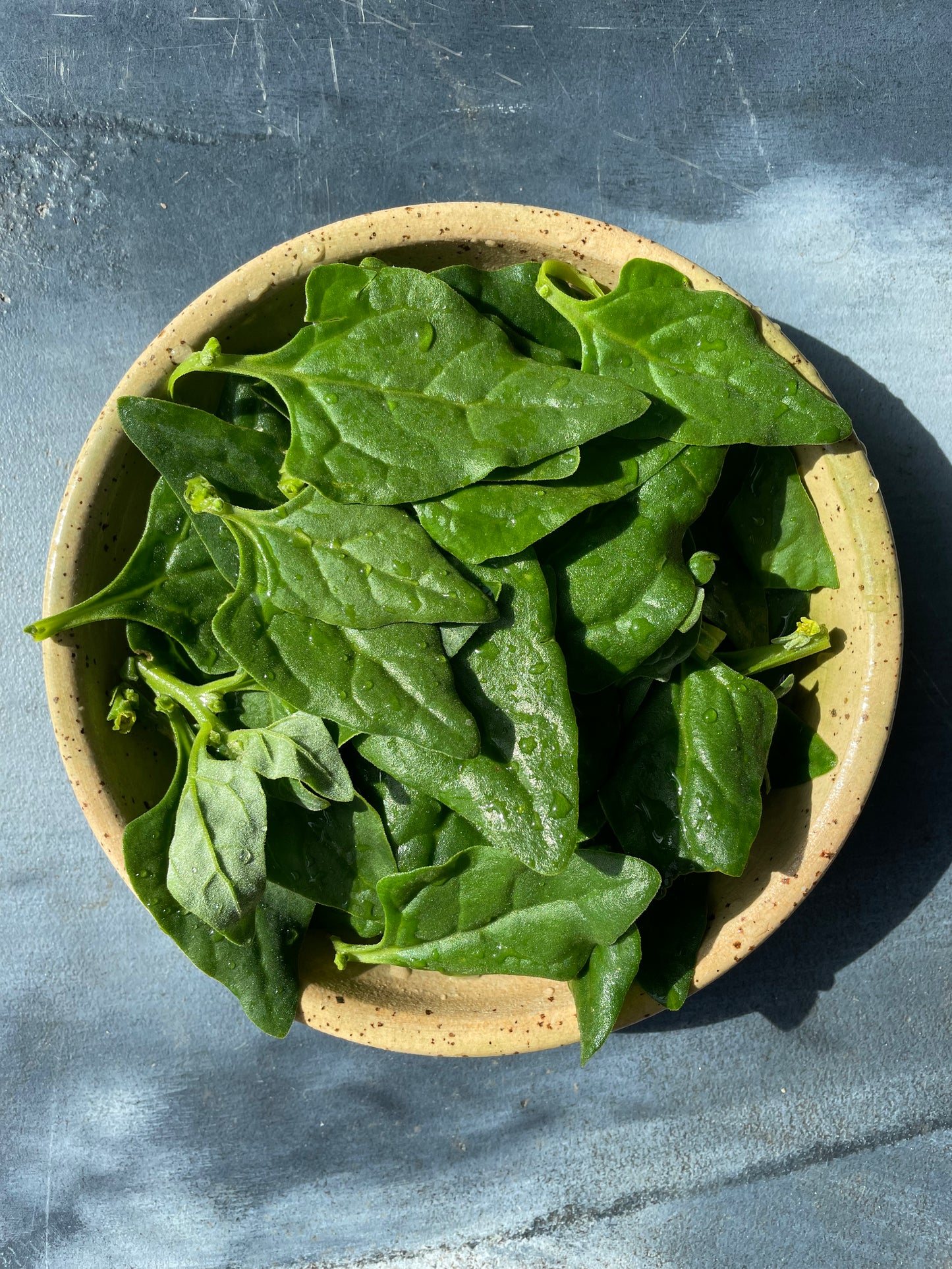 organic vegetables / little farms