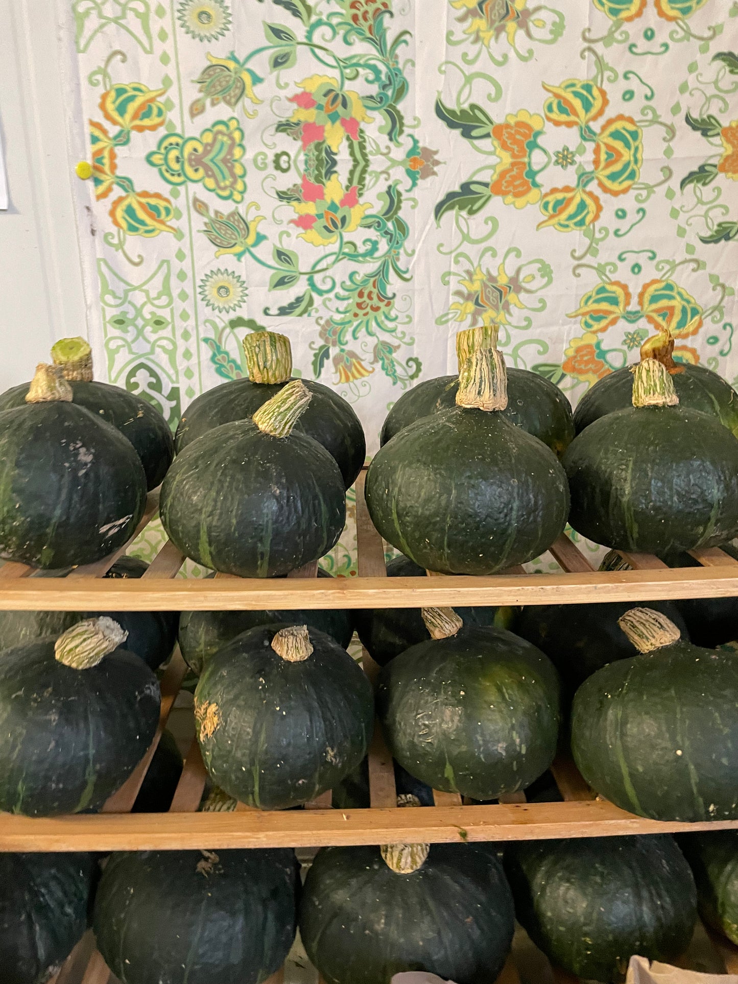 organic vegetables / little farms