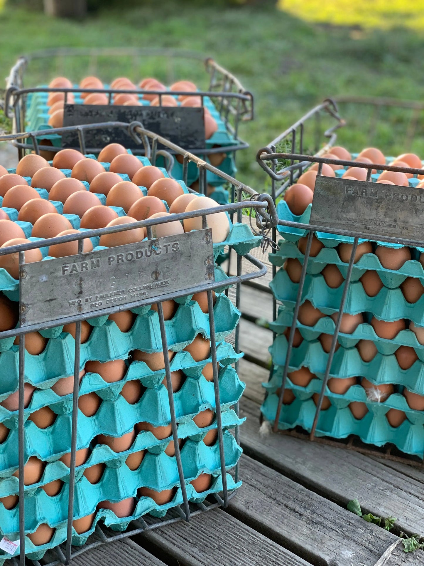 organic vegetables / little farms