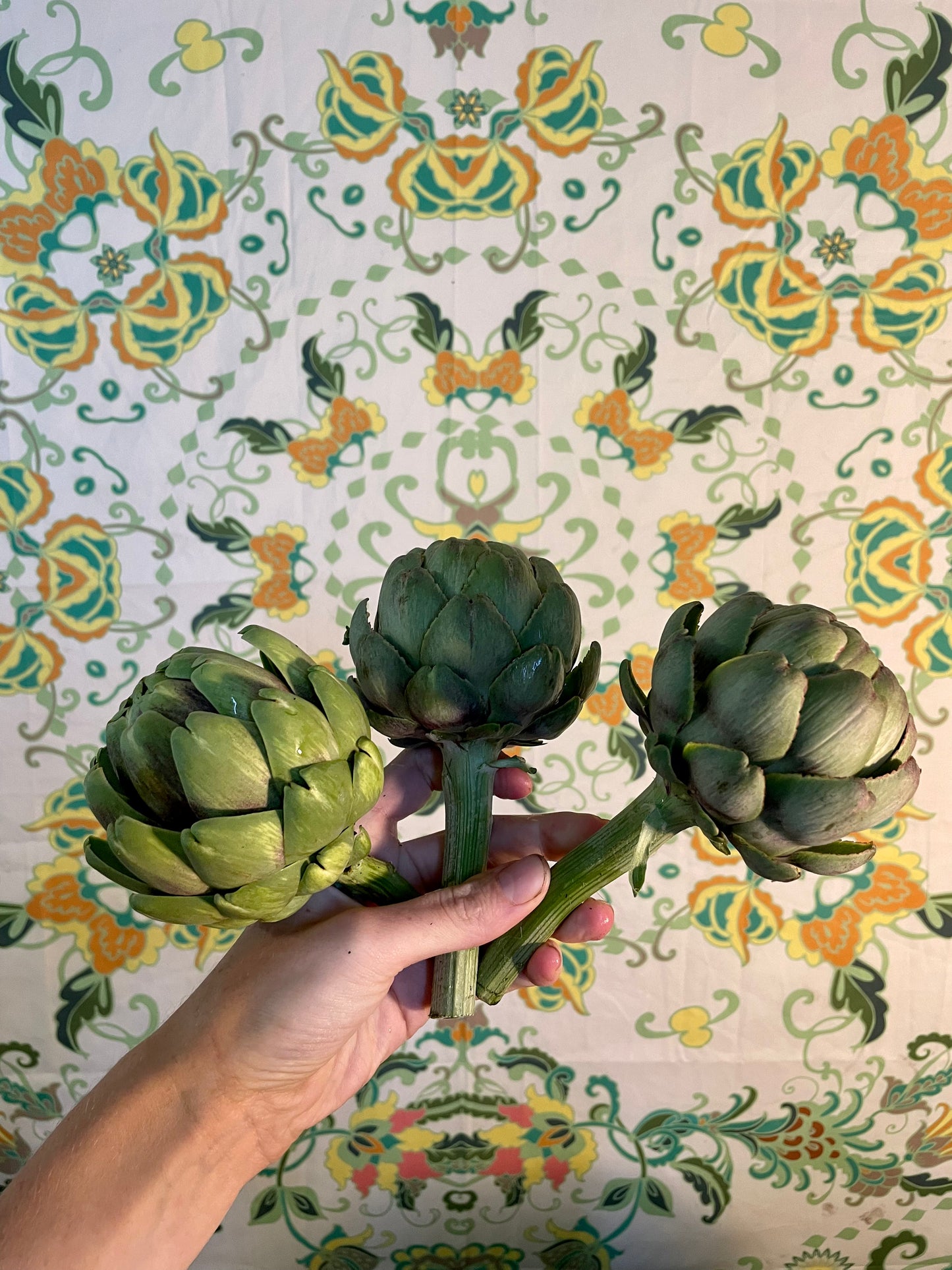 organic vegetables / little farms