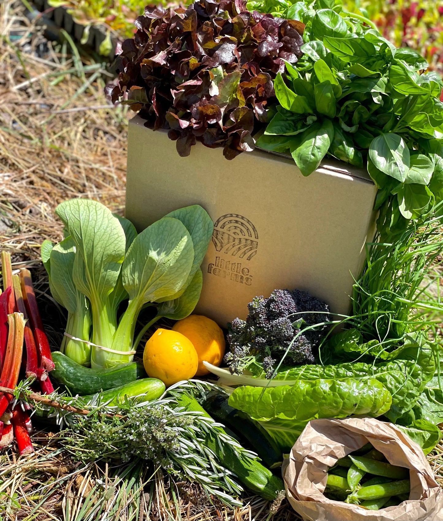 organic vegetables / little farms
