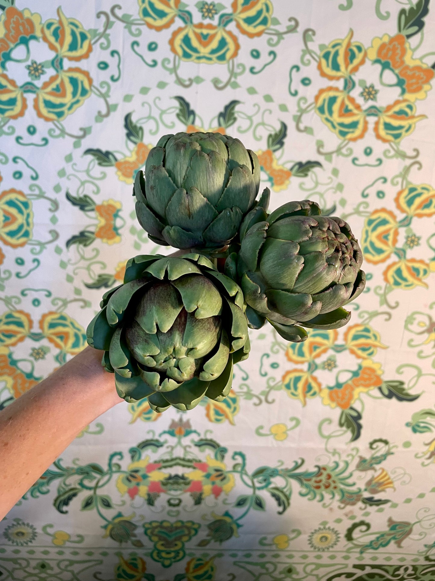 Organic Artichokes