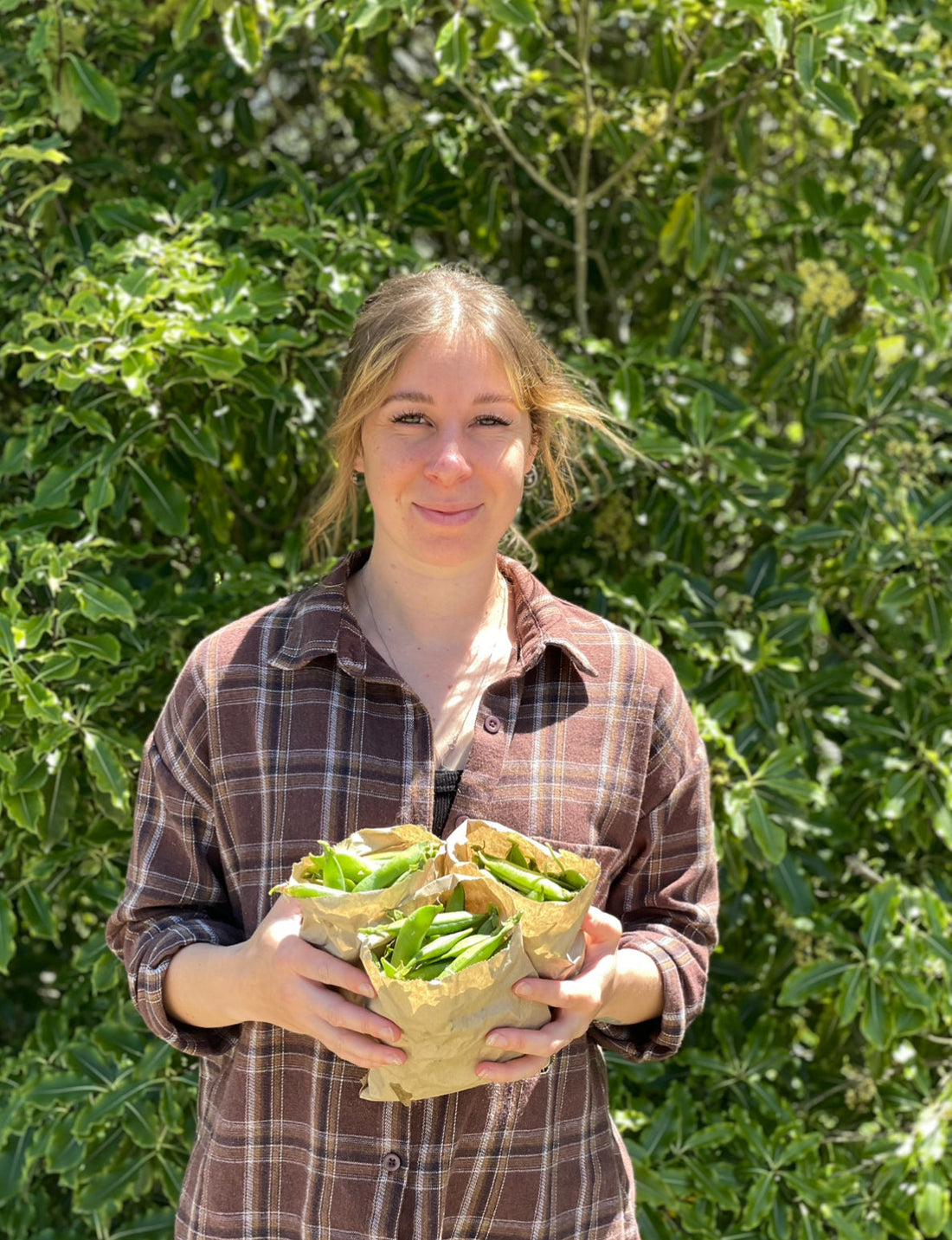 What's in the 7th Jan boxes?