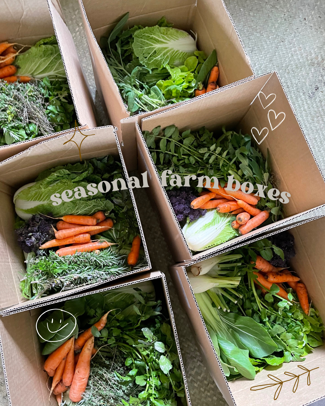 What’s in the 14 August boxes?