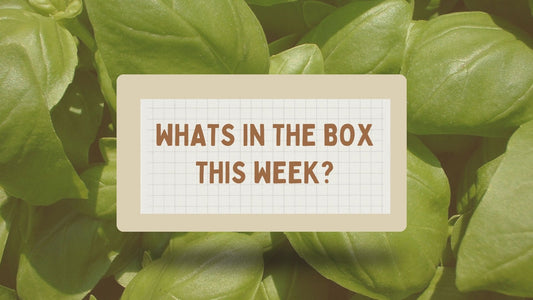 What's in the 14th Dec boxes?